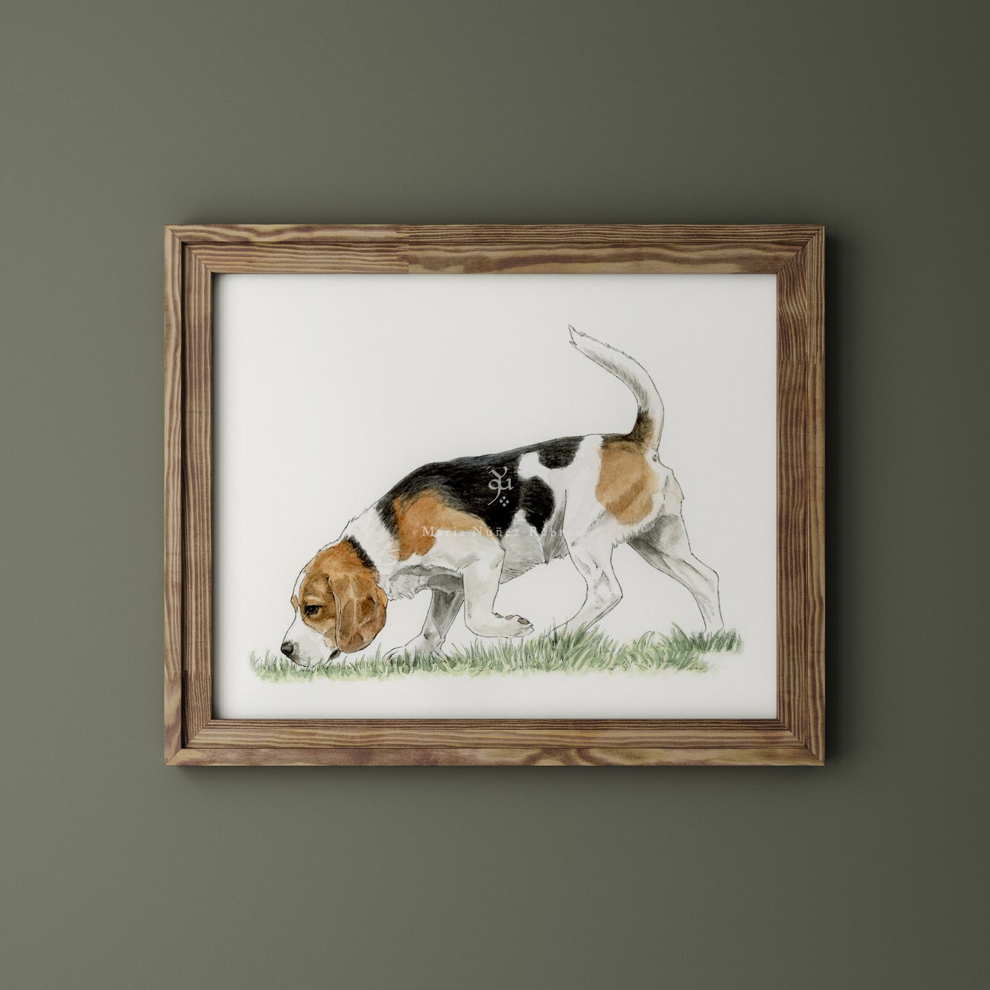 Beagle