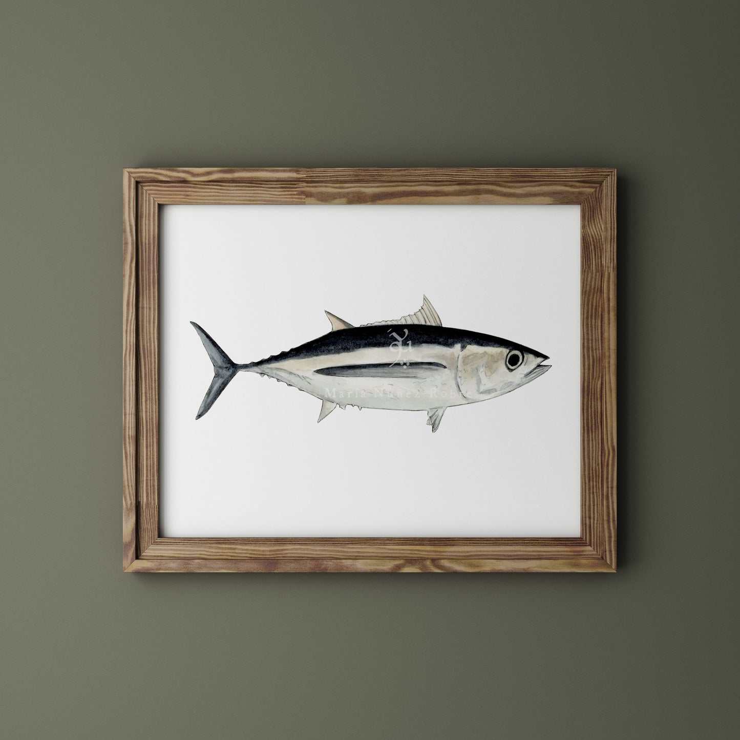 Bonito del norte