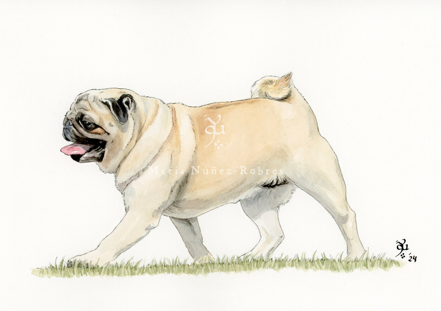 Carlino