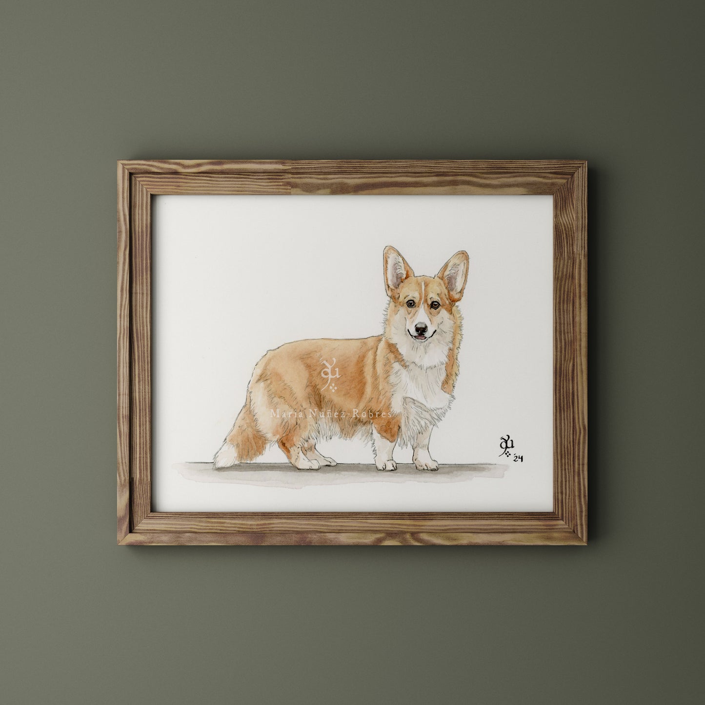 Corgi