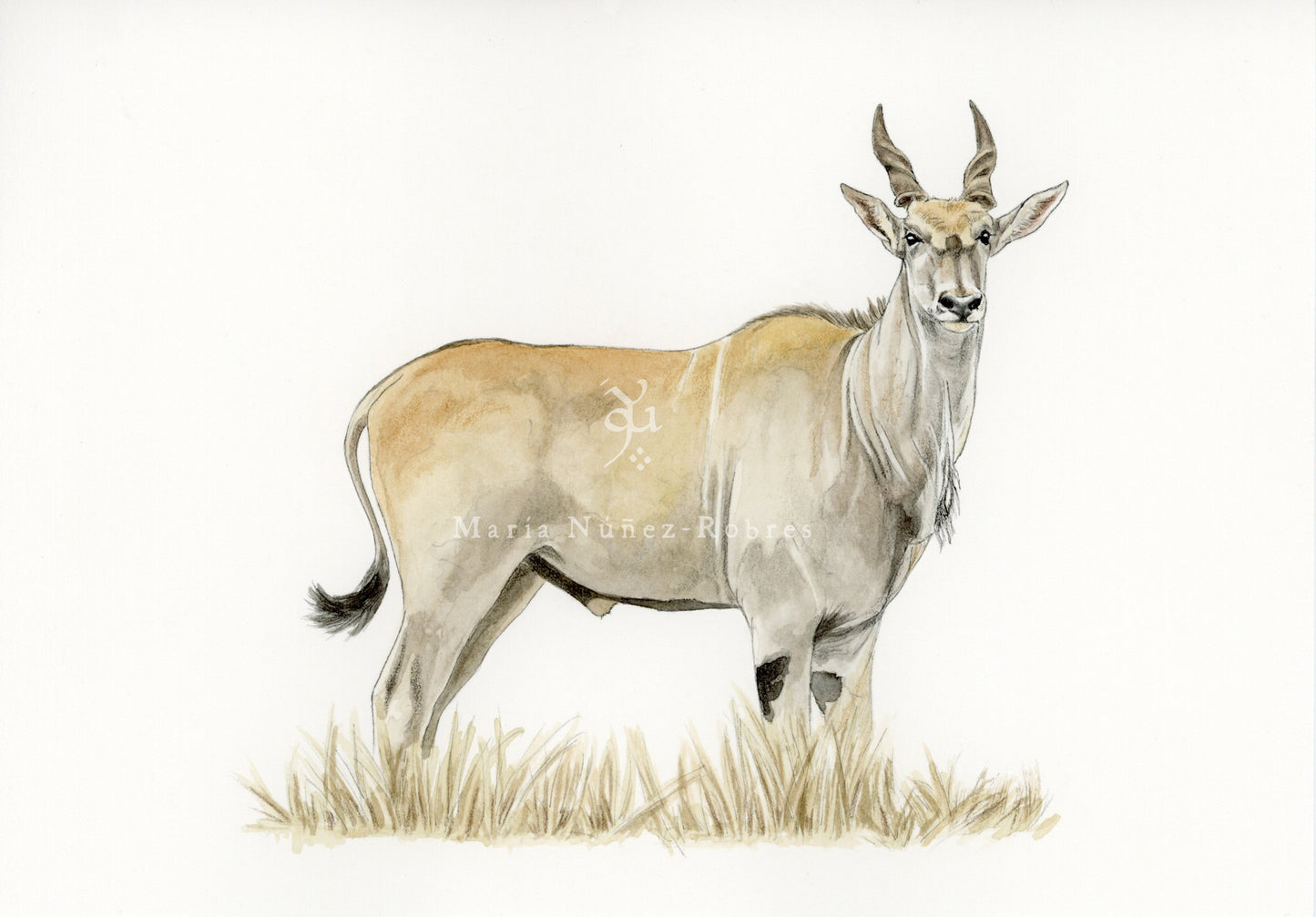 Eland