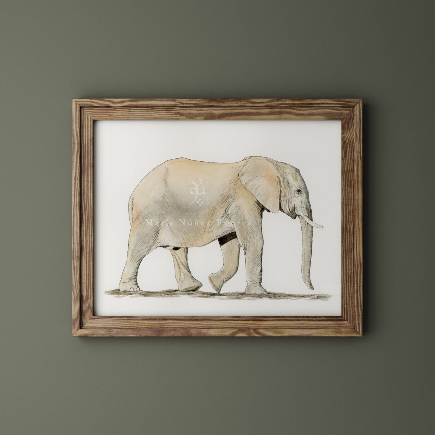 Elefante