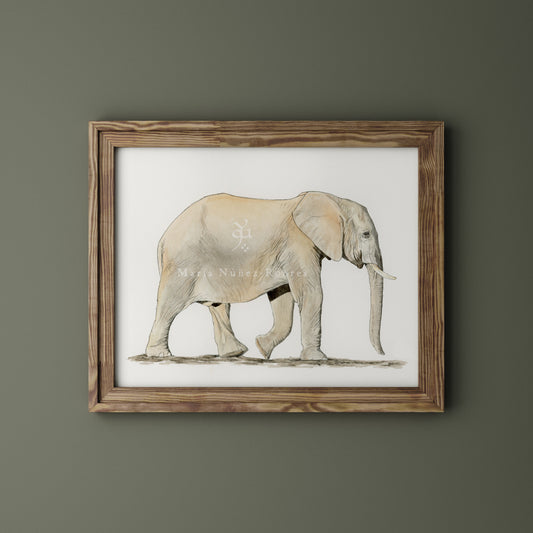 Elefante