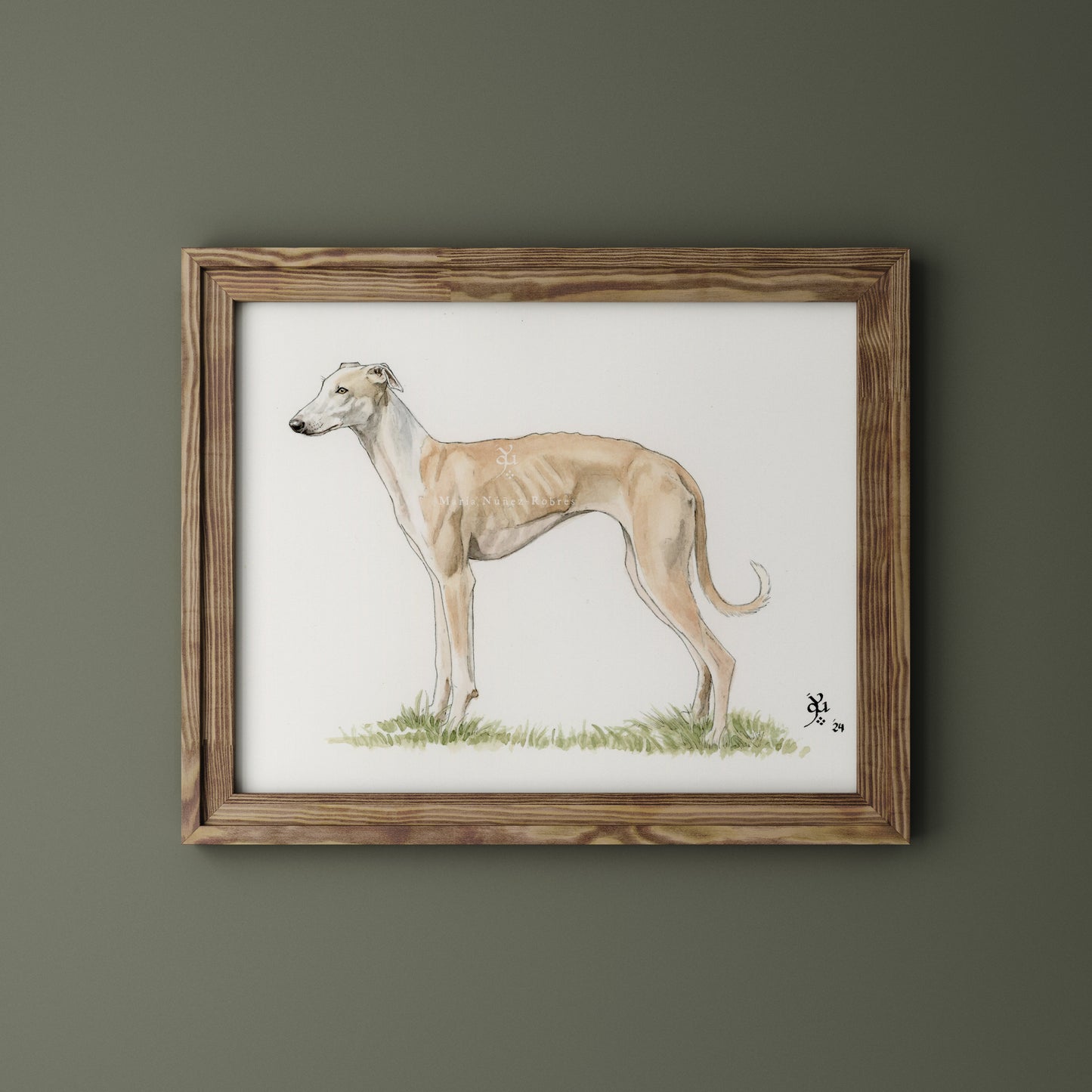 Galgo