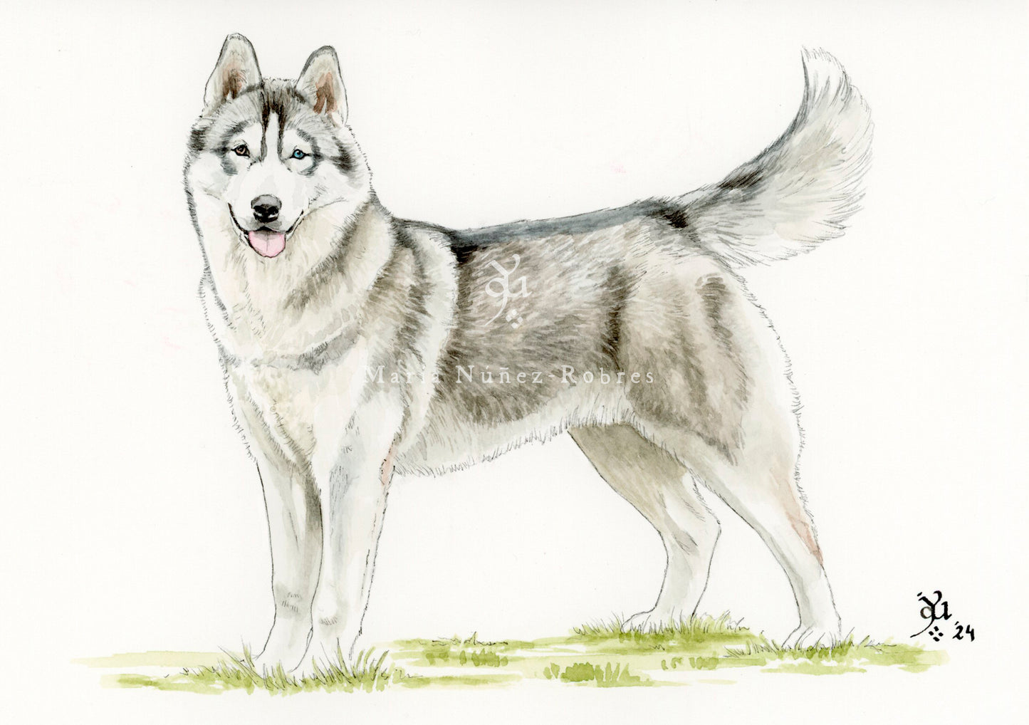 Husky