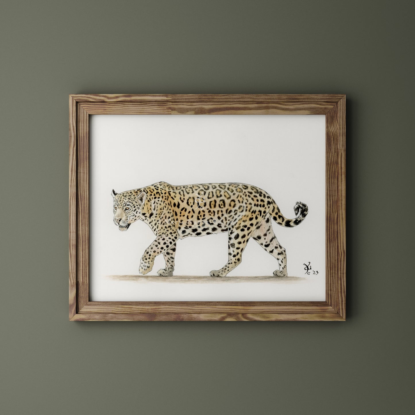 Leopardo