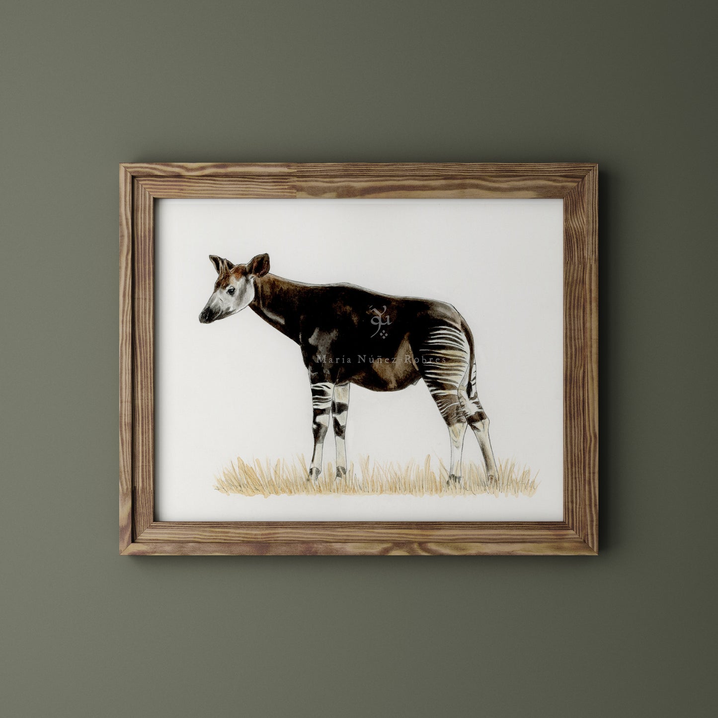 Okapi