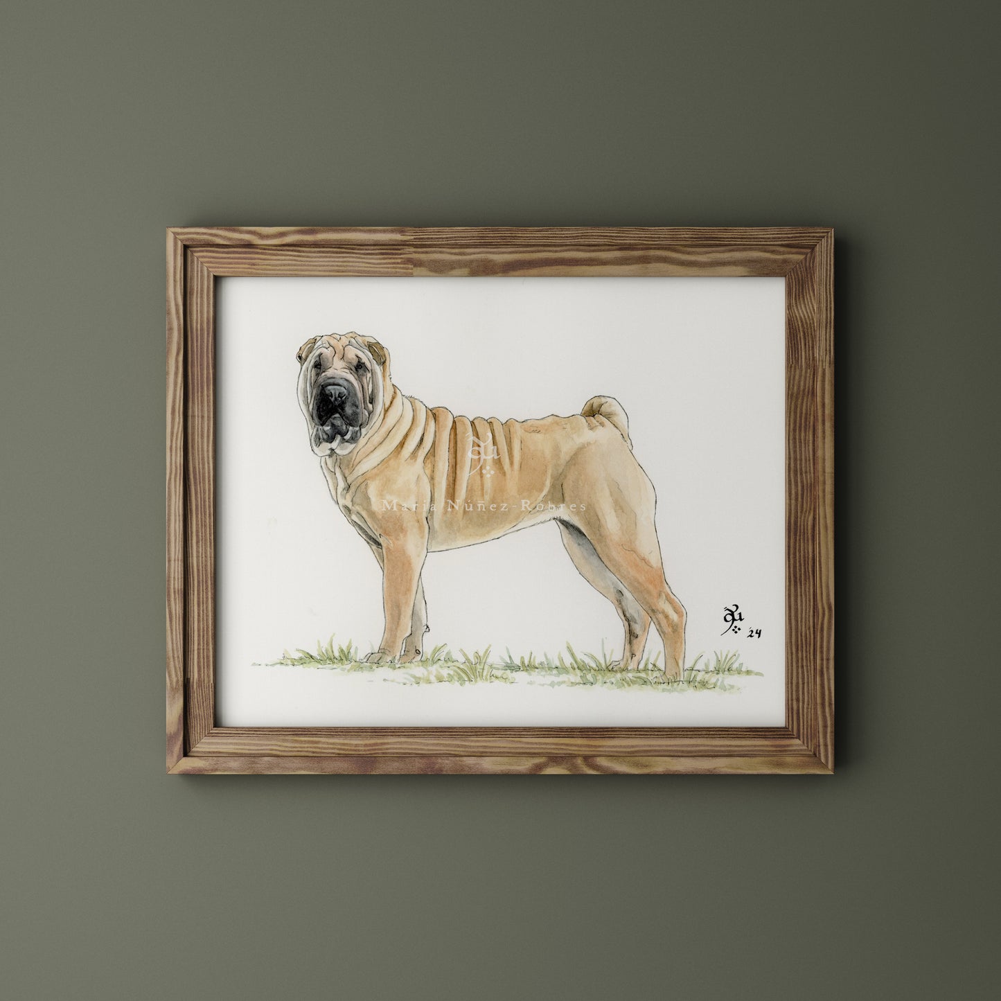 Shar pei