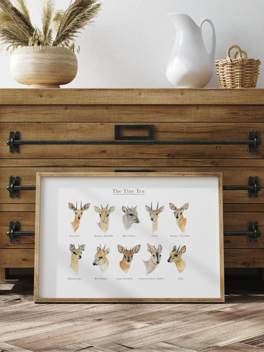 "The Tiny Ten" Edición Limitada