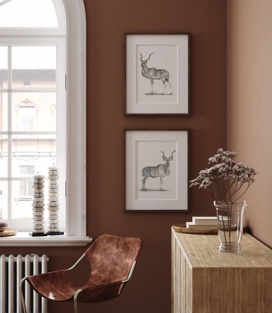 " El fantasma gris de África" 2, Edición Limitada