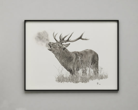 "Venado en berrea" Edición Limitada