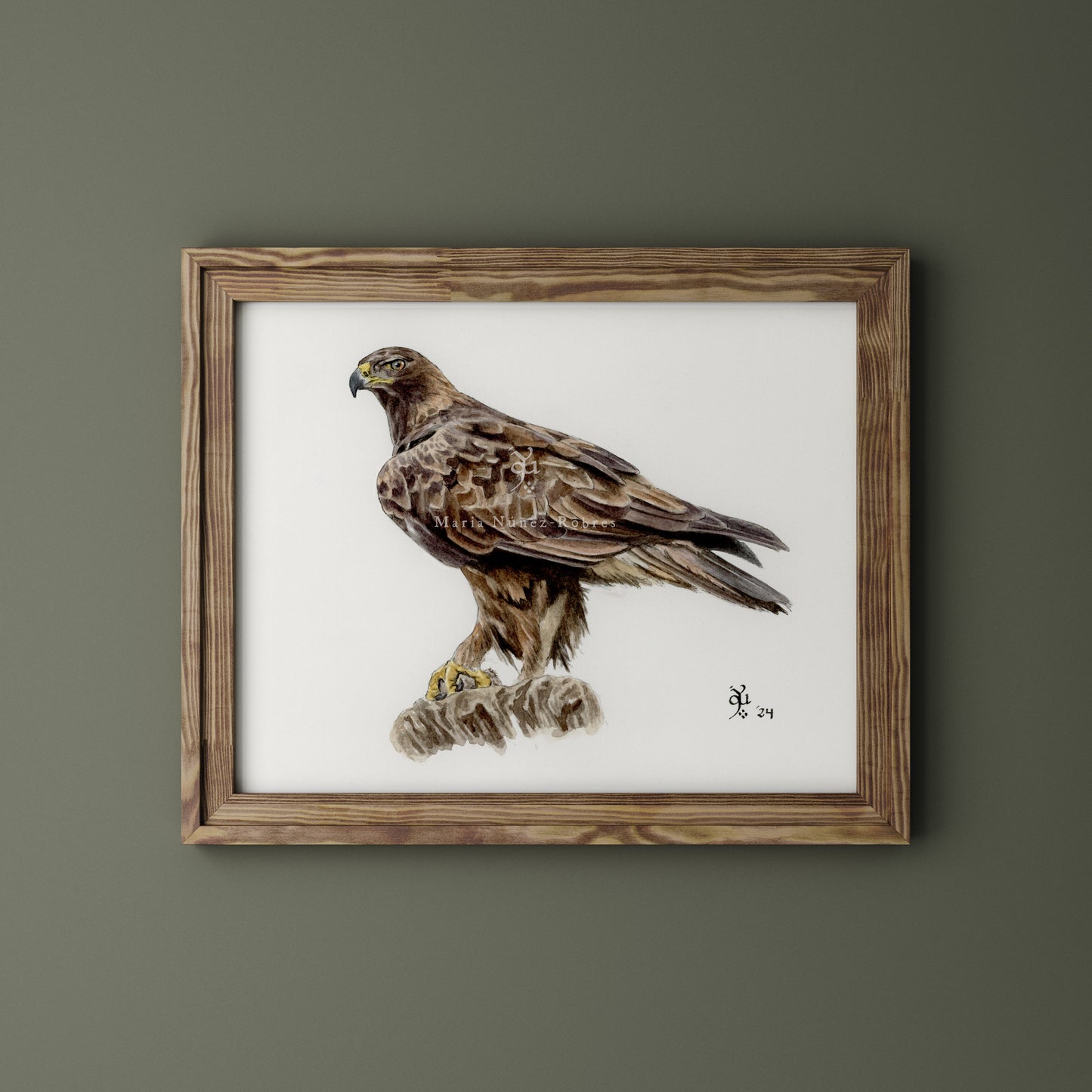 Águila real
