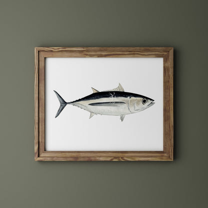Bonito del norte