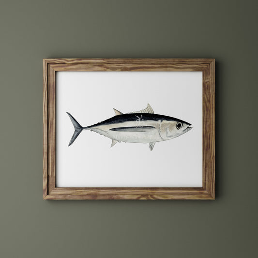 Bonito del norte