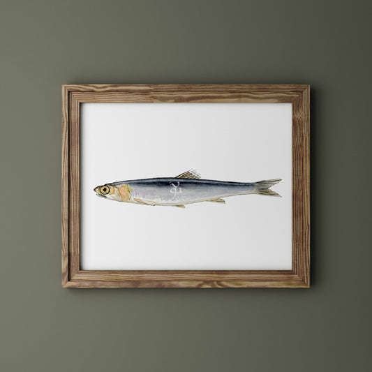 Boquerón