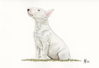 Bull terrier