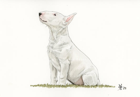 Bull terrier