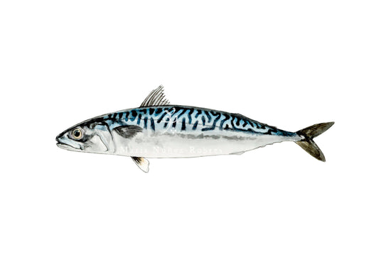 Caballa