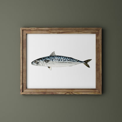 Caballa