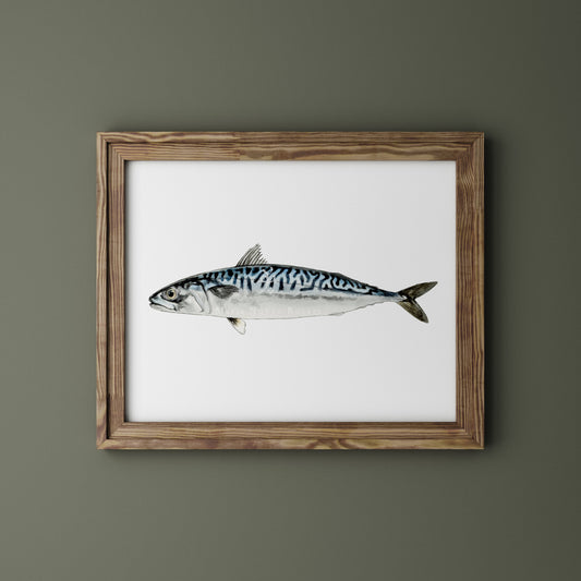 Caballa