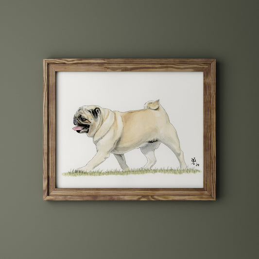 Carlino