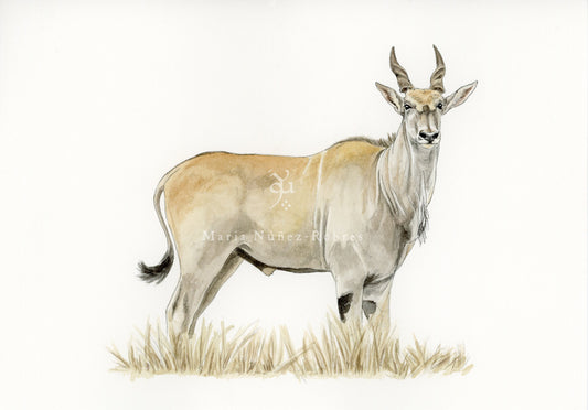Eland