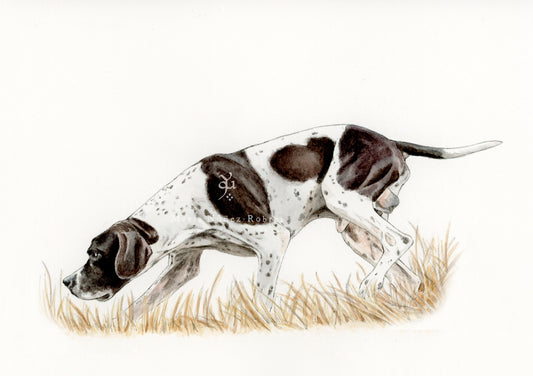 English pointer