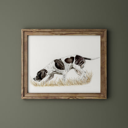 English pointer
