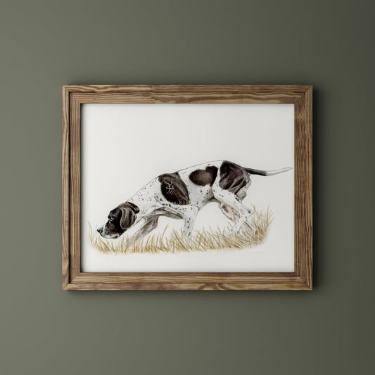 English pointer