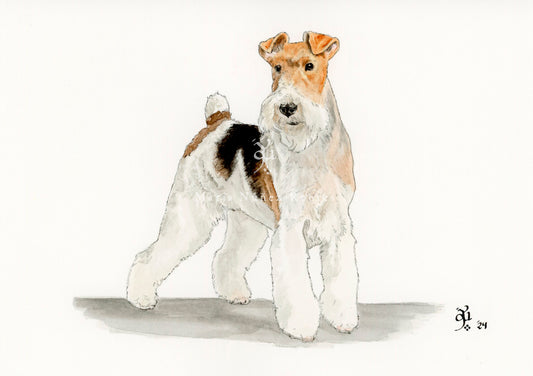 Fox terrier