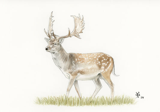 Gamo