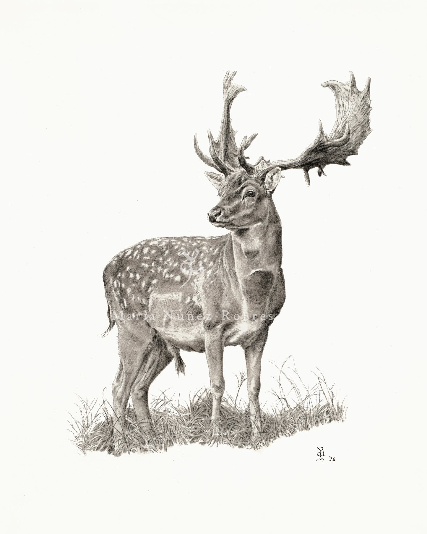 Gamo