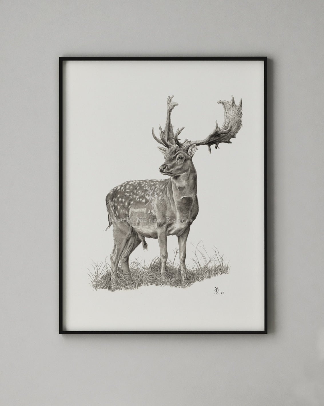 "Gamo" Edición Limitada