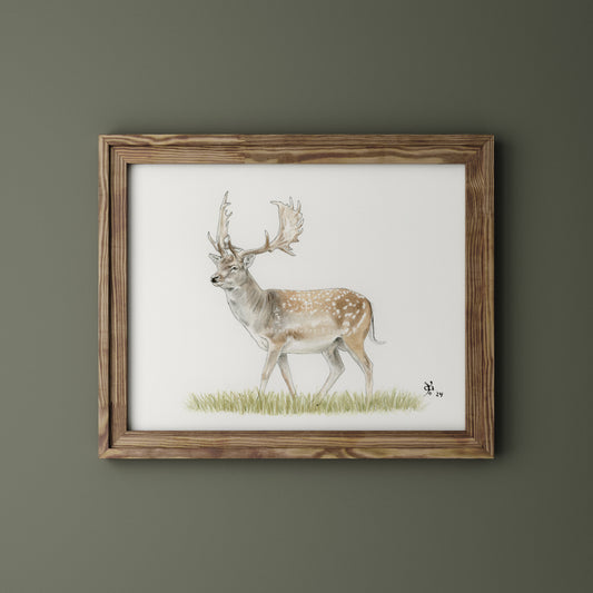 Gamo