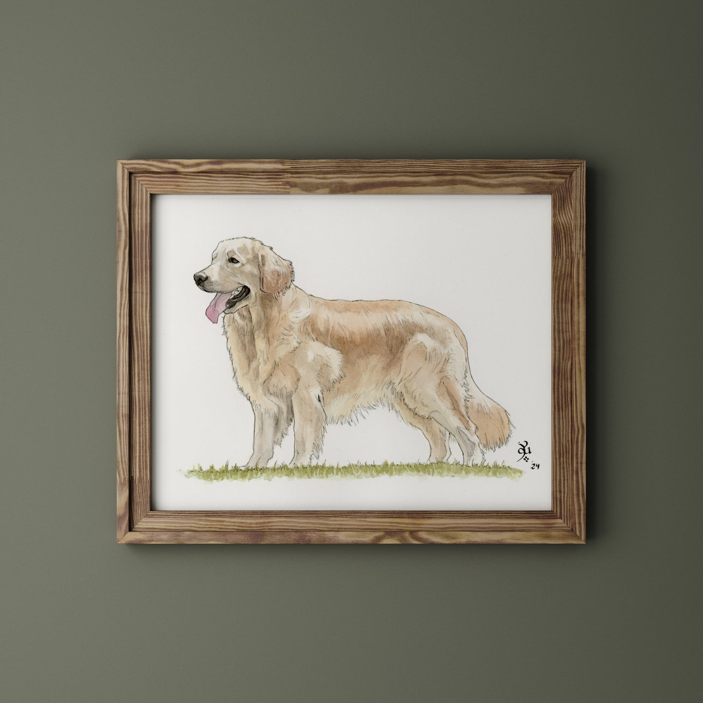 Golden retriever