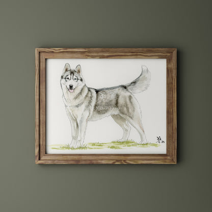 Husky