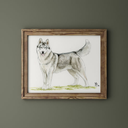 Husky