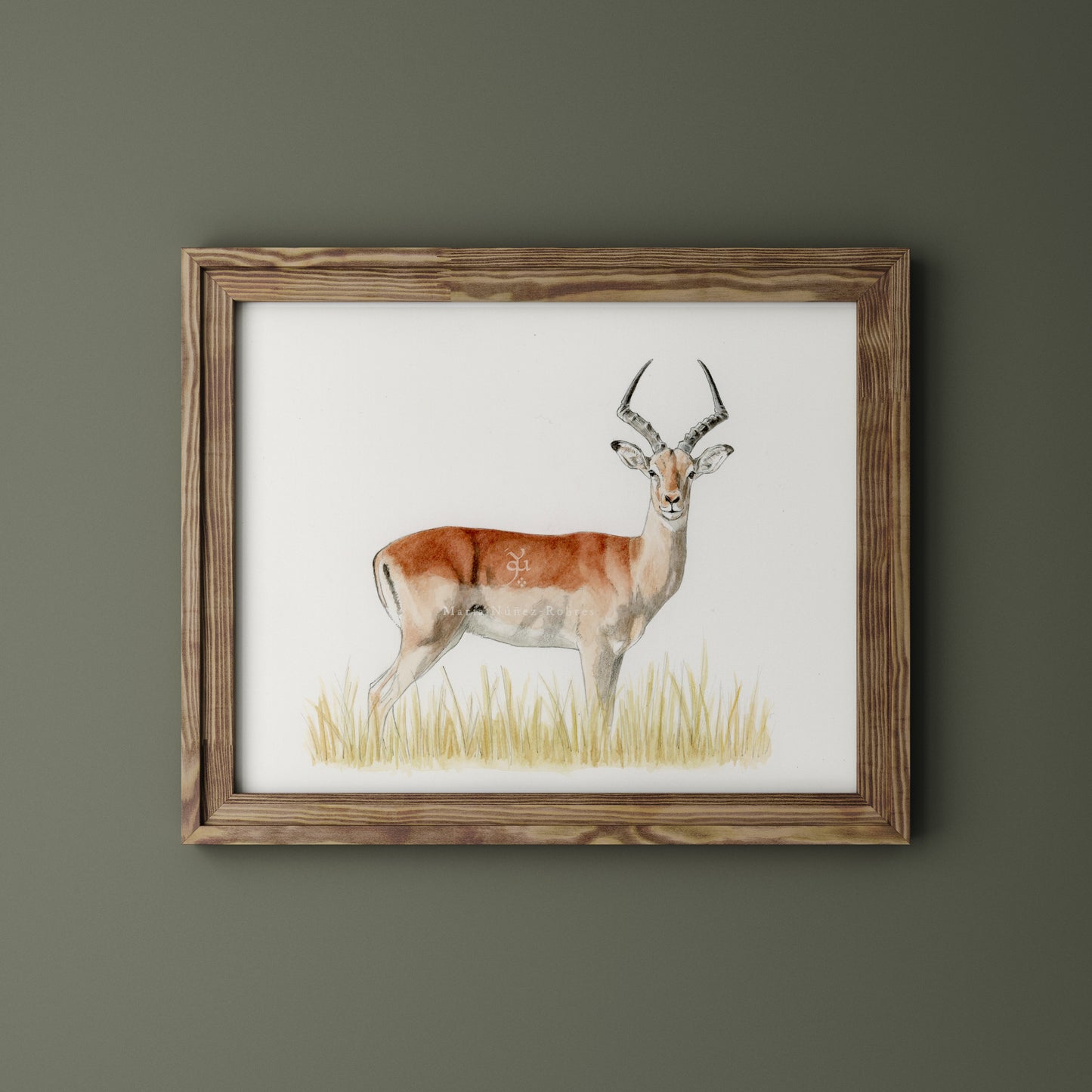 Impala