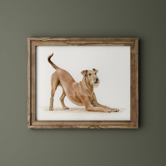 Irish terrier
