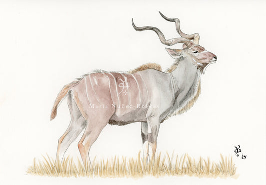 Kudu