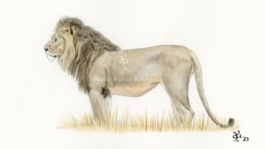 León