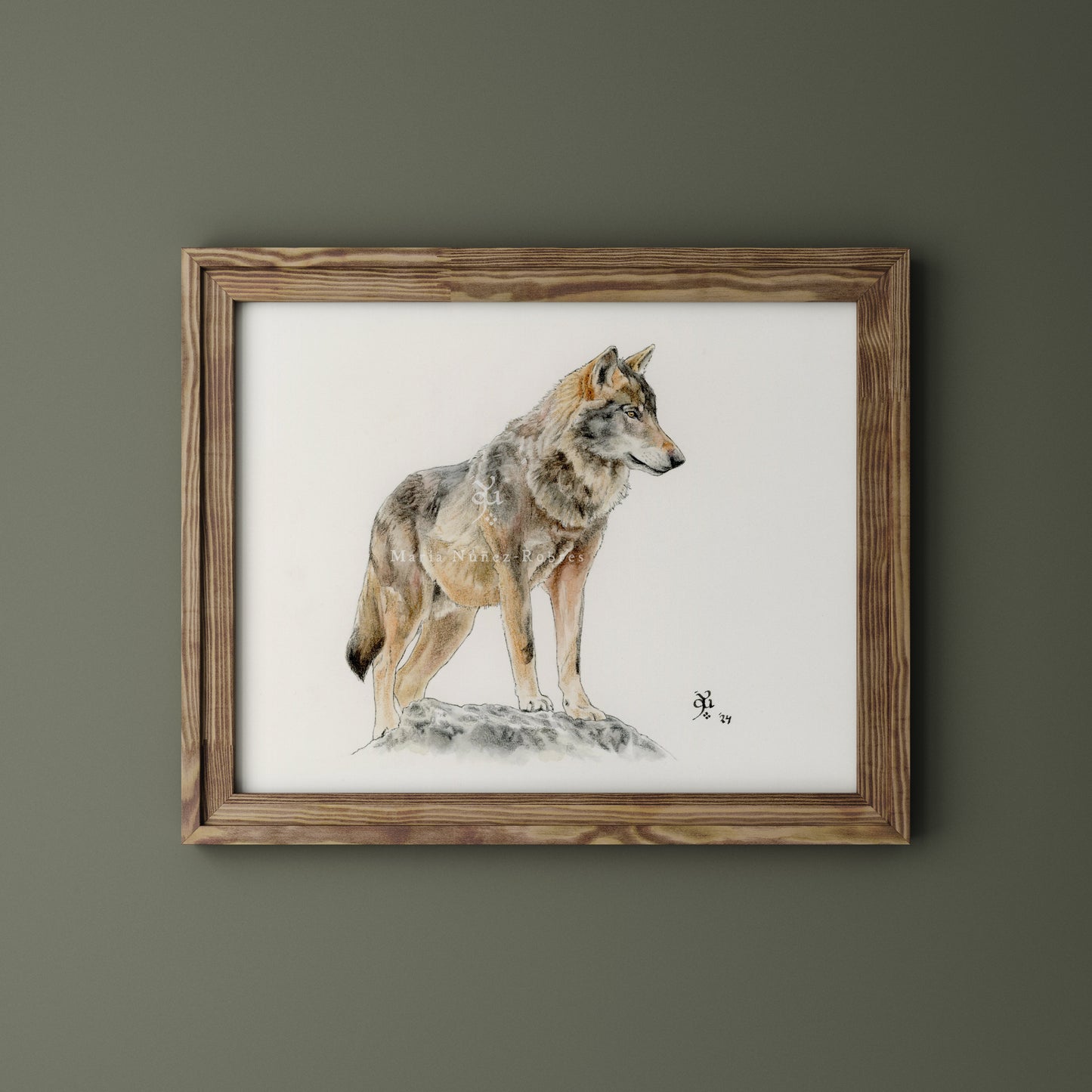 Lobo