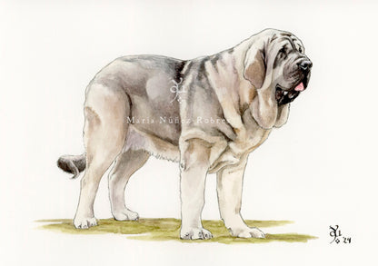 Mastín
