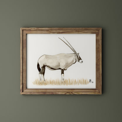 Oryx