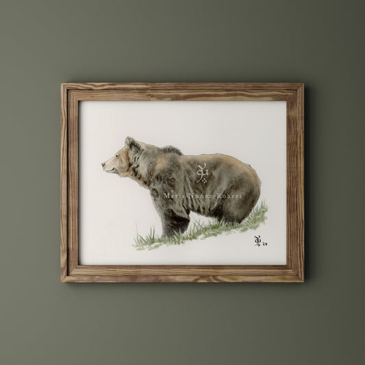Oso