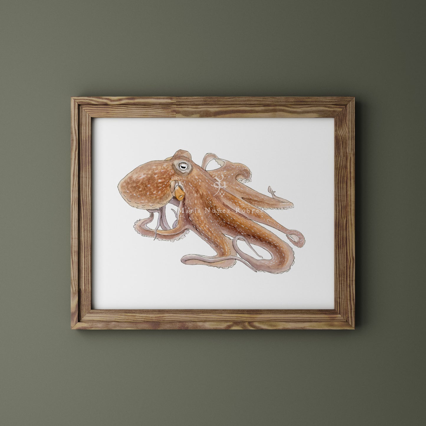 Pulpo