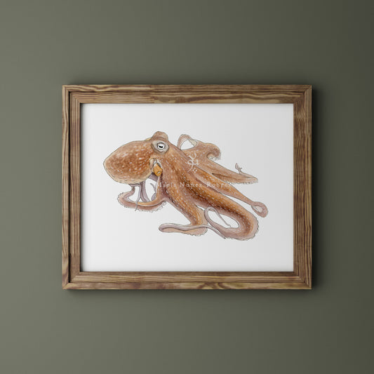 Pulpo
