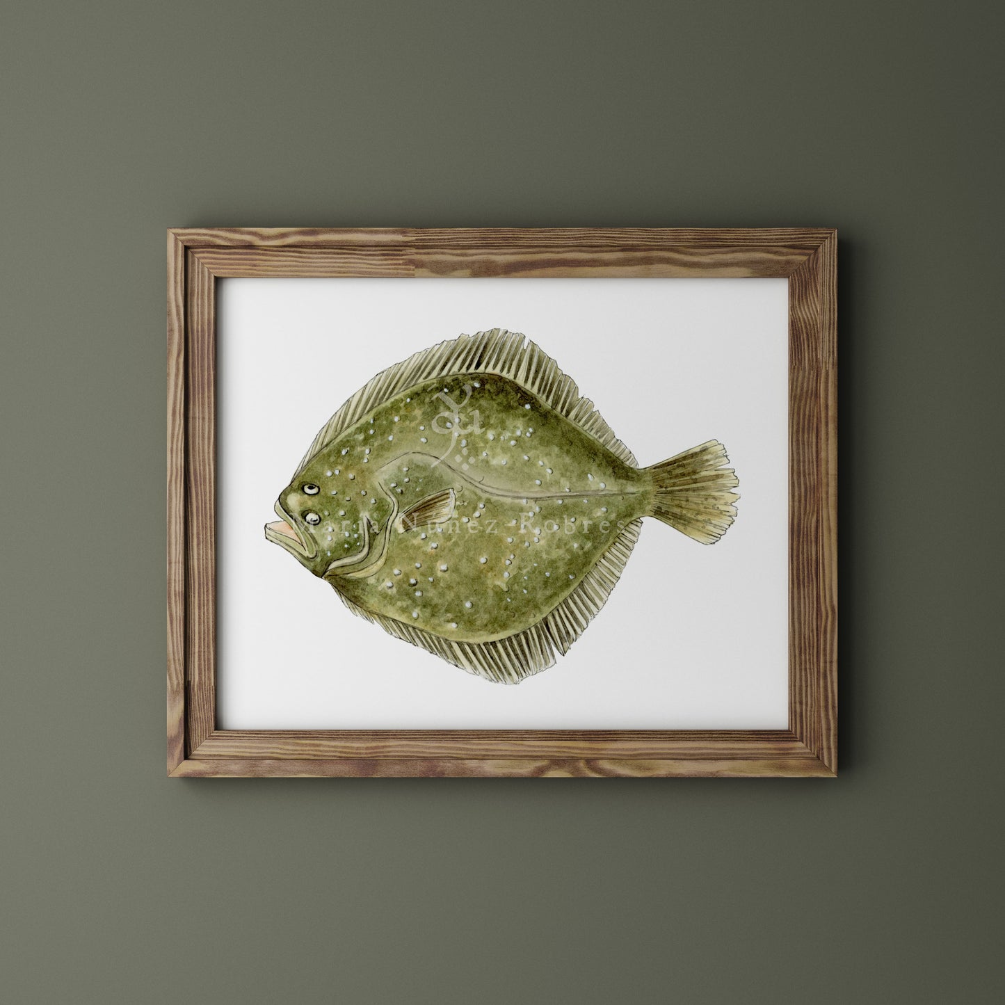 Rodaballo