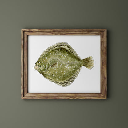 Rodaballo
