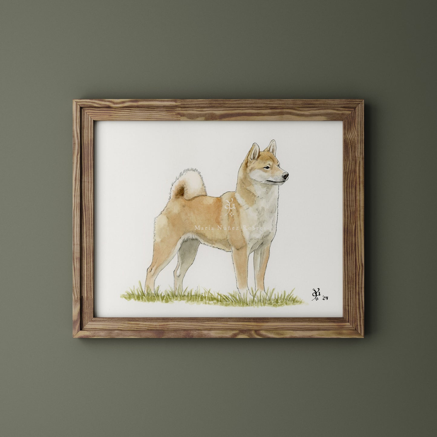 Shiba Inu
